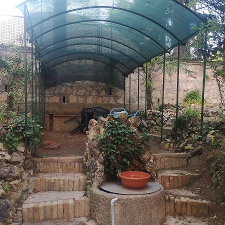 ماشيراتا Hortensia Garden المظهر الخارجي الصورة