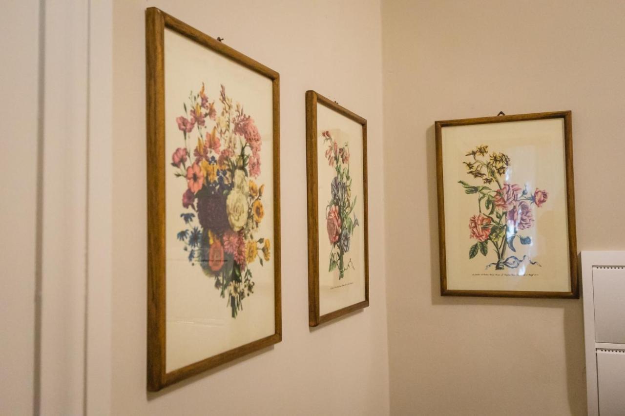 ماشيراتا Hortensia Garden المظهر الخارجي الصورة